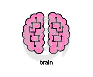 Two hemispheres of the brain on a white background. Symbol. Vector